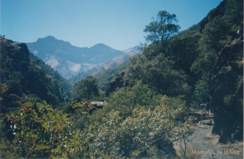 Vereda de La Estrella a la derecha con Alcazaba y Mulhacén al fondo