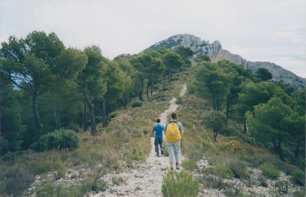 Subiendo al Maigmonet, arriba asoma el Maigmó