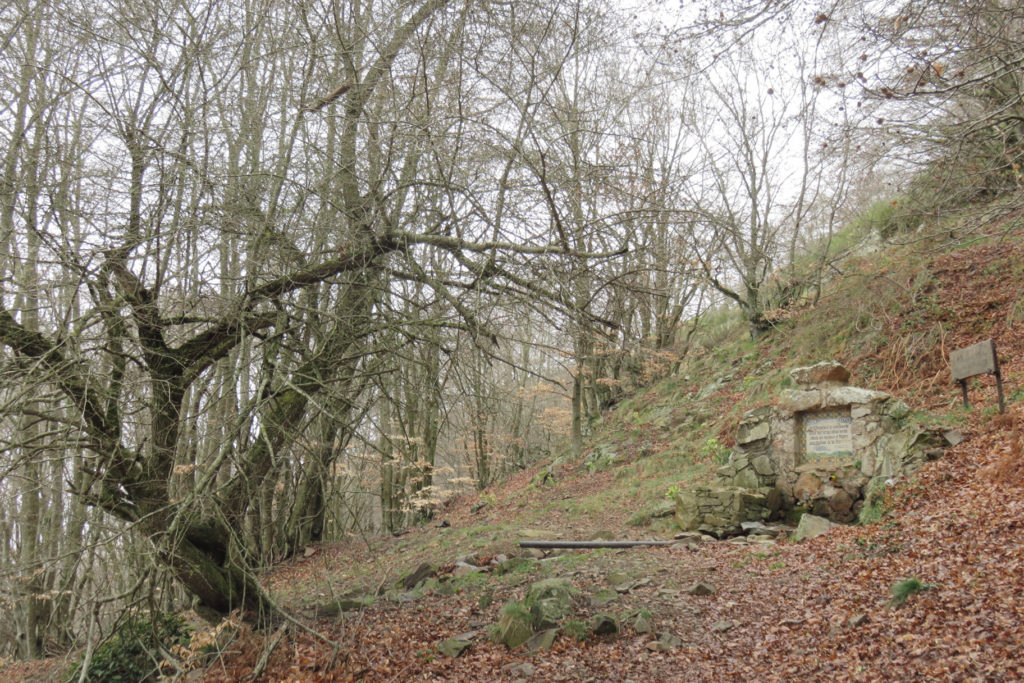 Font de Coll Pregón