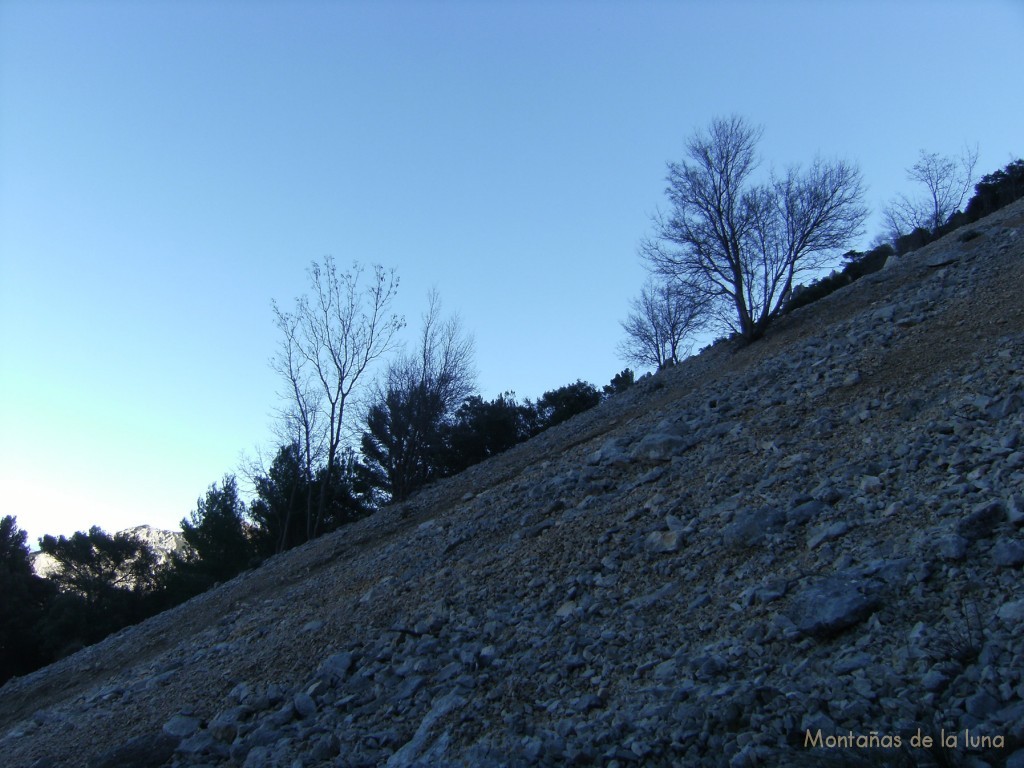 Pedregales, canchales en la subida