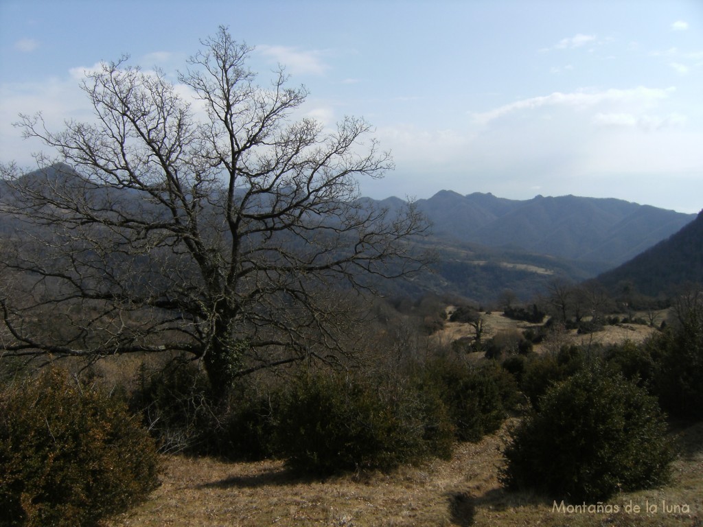 Al fondo queda Bellmunt