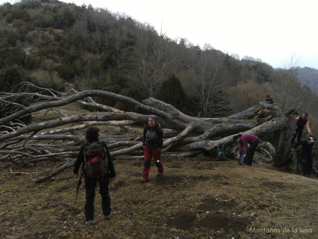 Coll de Cristòfol