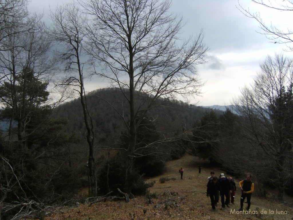 Cerca del Coll de l'Home Mort