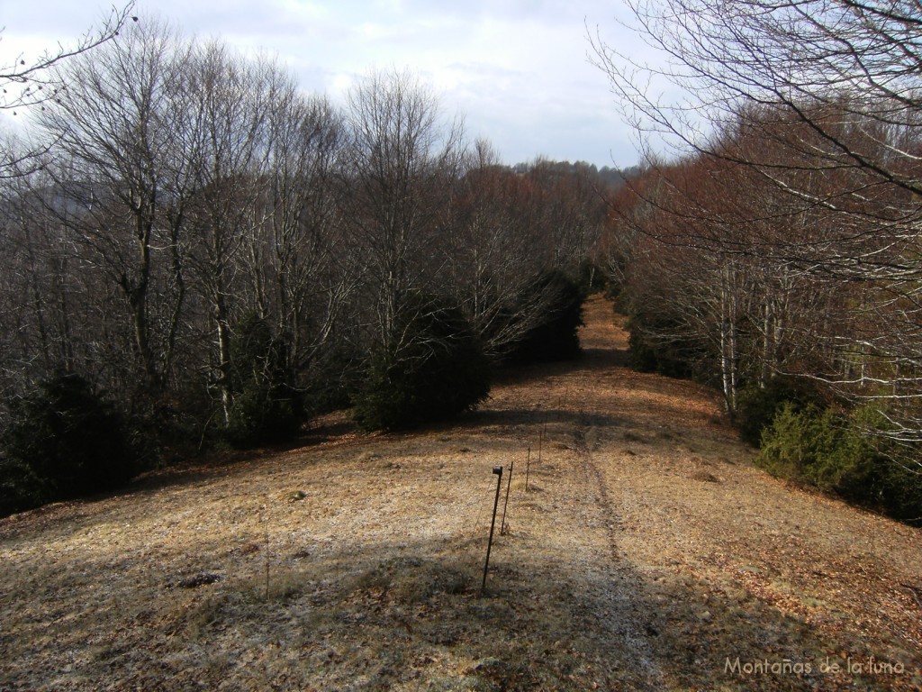 Camino del Pla de La Bronsa