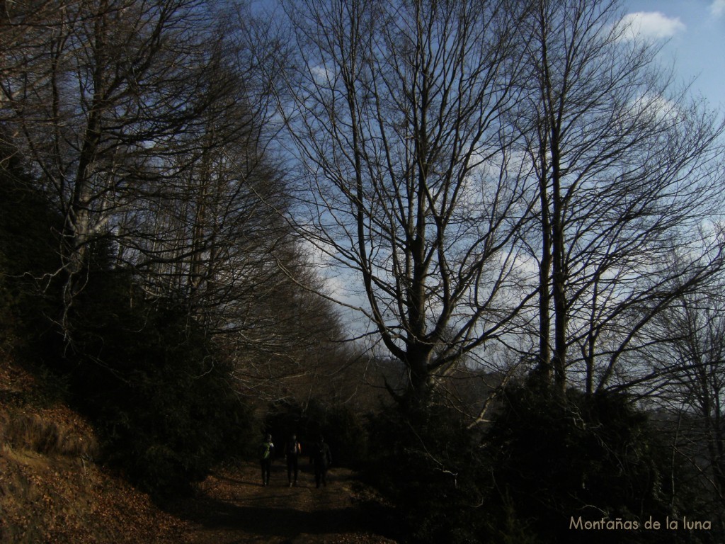 Camino en dirección al Coll de Cristòfol