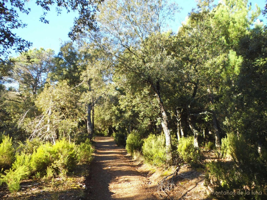 Por el Camí Ral al Castellsapera