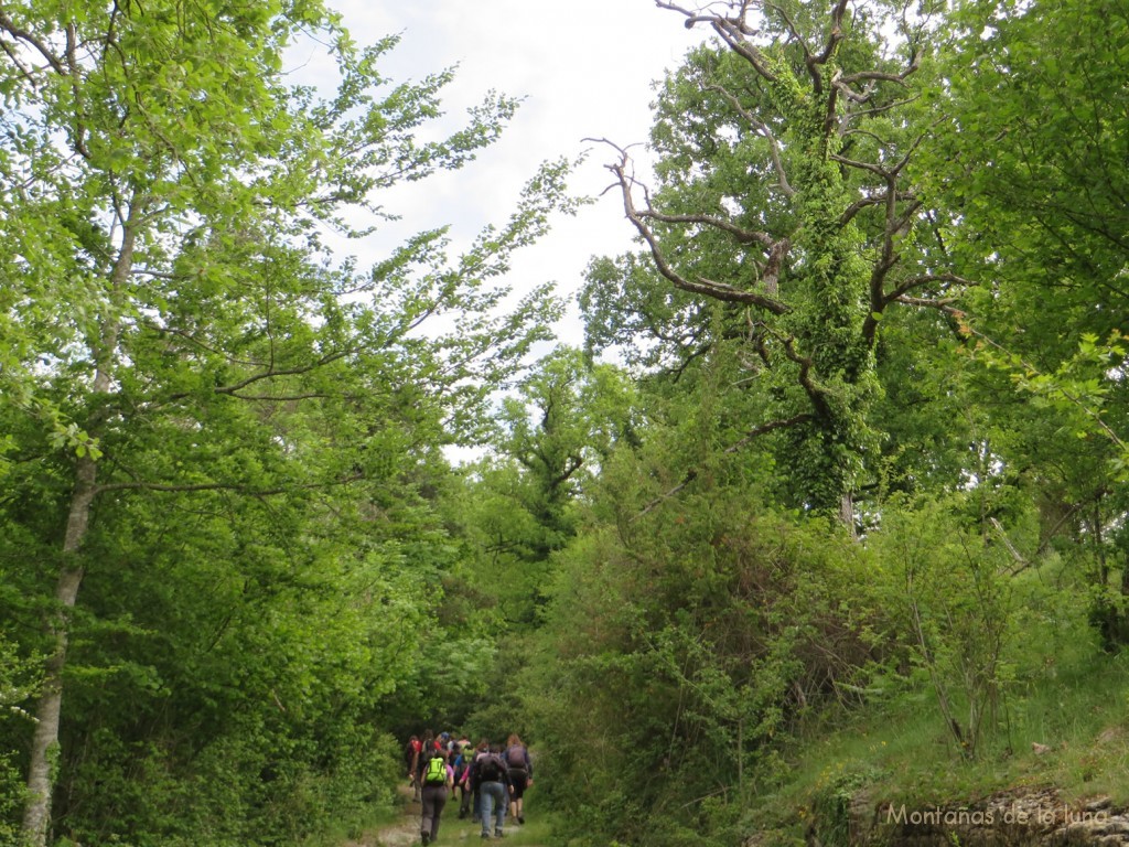 Camino del Collet de La Cometa