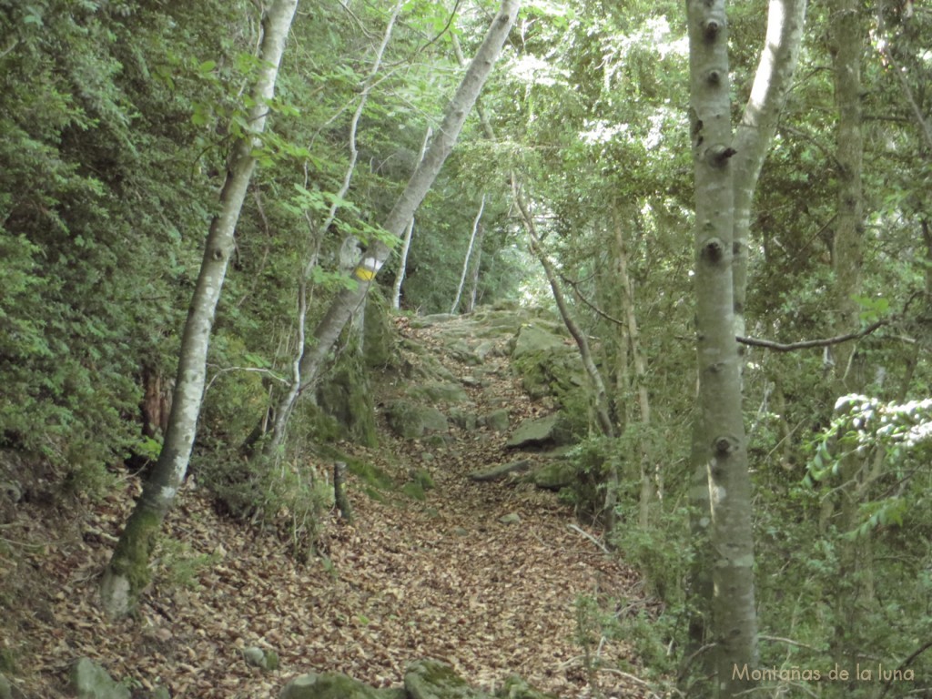 Subida a La Mare de Dèu de la Cau