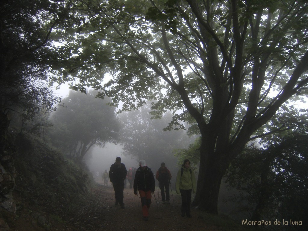 Camino a Coll Pregón