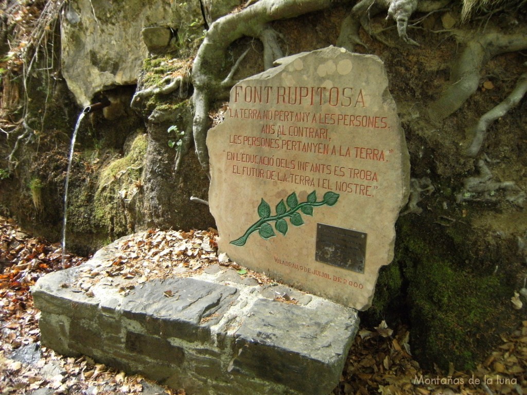 Font Rupitosa