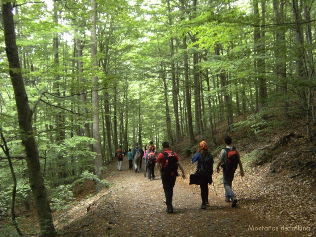 Camino de Font de Llops