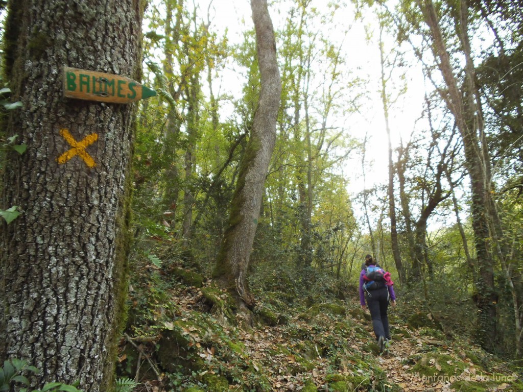 Camino de las Baumes d'En Caxurma