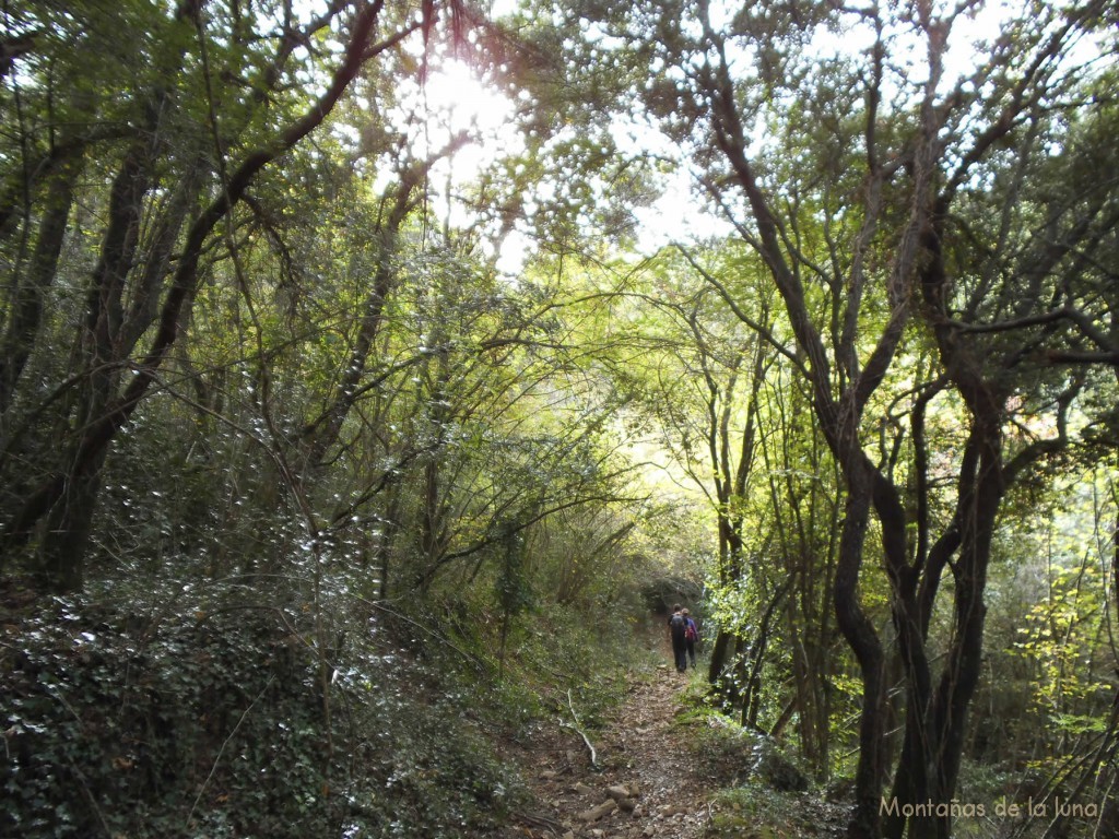 Camino del Collet de l'Aulina cruzando la Riera de Santaló