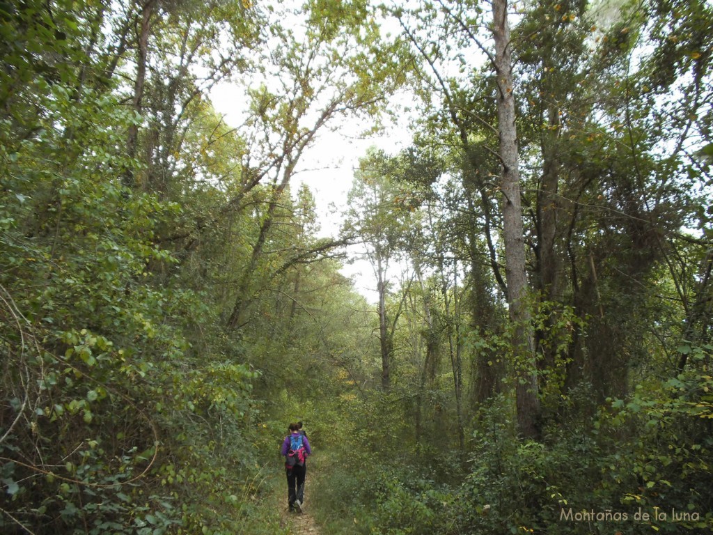 Camino de El Bruguetar