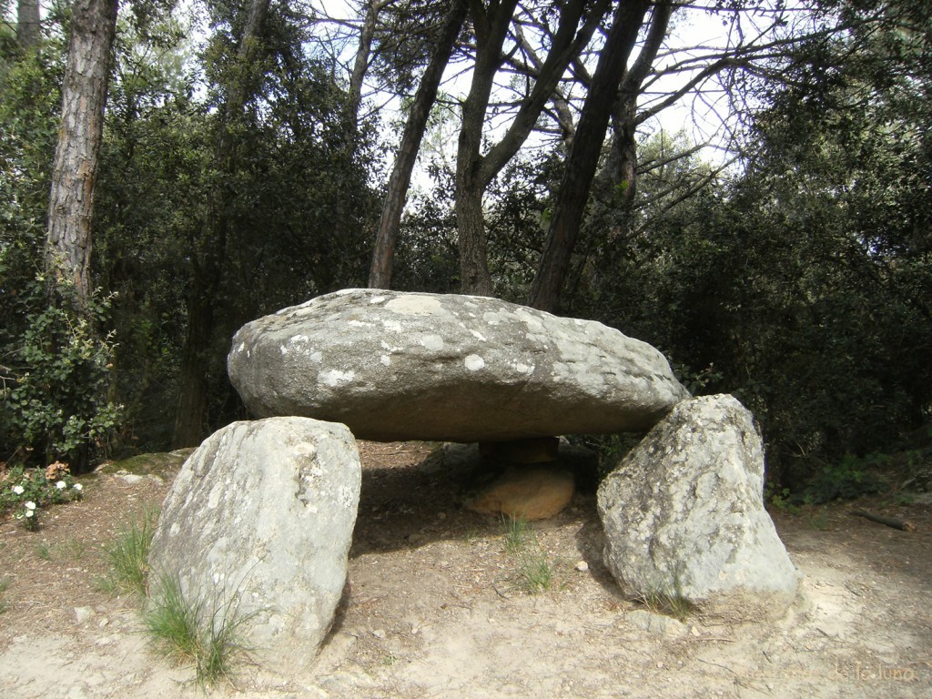 Dolmen de Can Planes