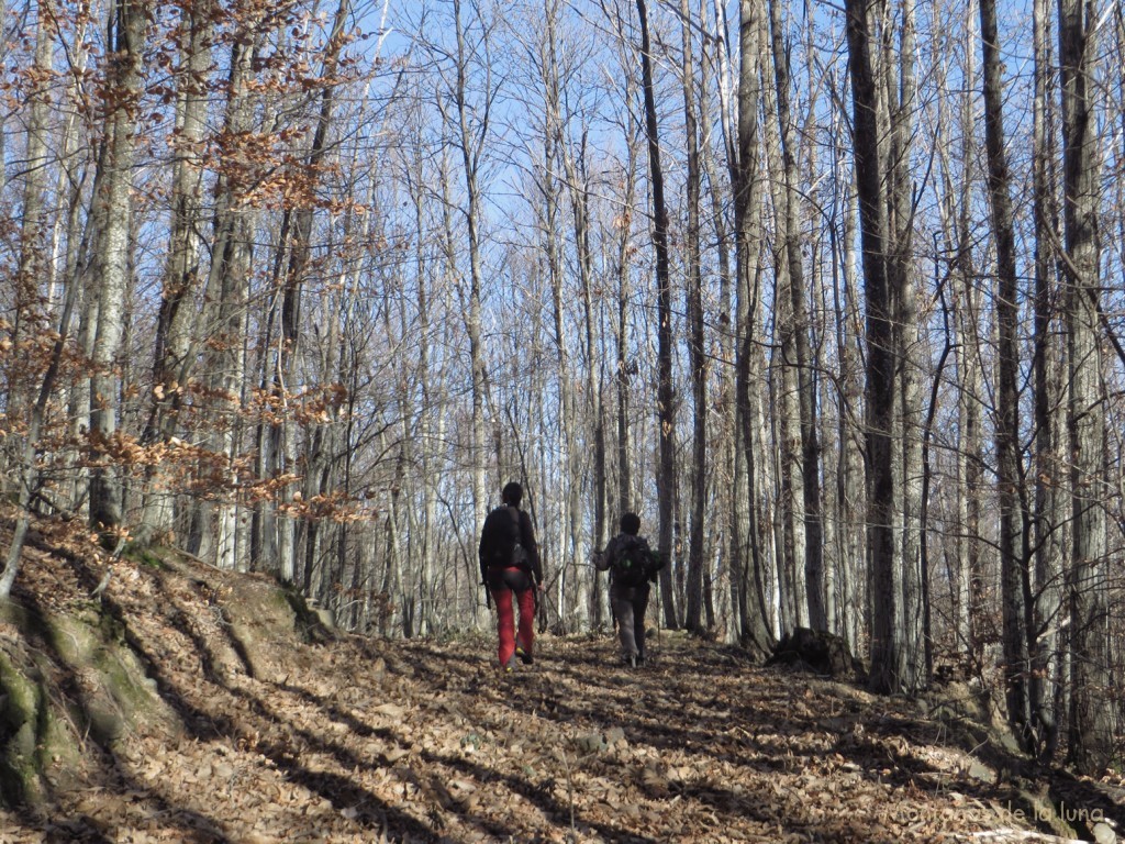 Camino del Pujol de Muntanya