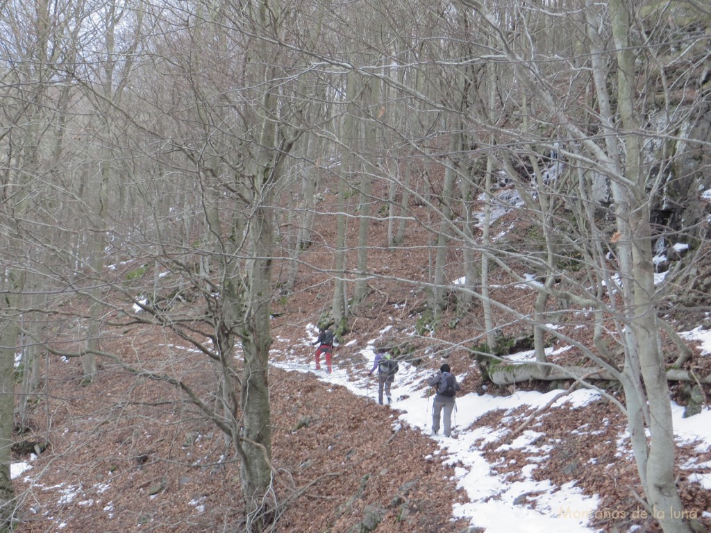 Camino del Torrent de l'Oratori o de la Font del Matagalls