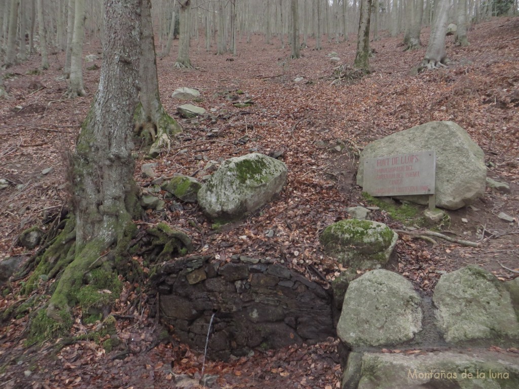 Font de Llops