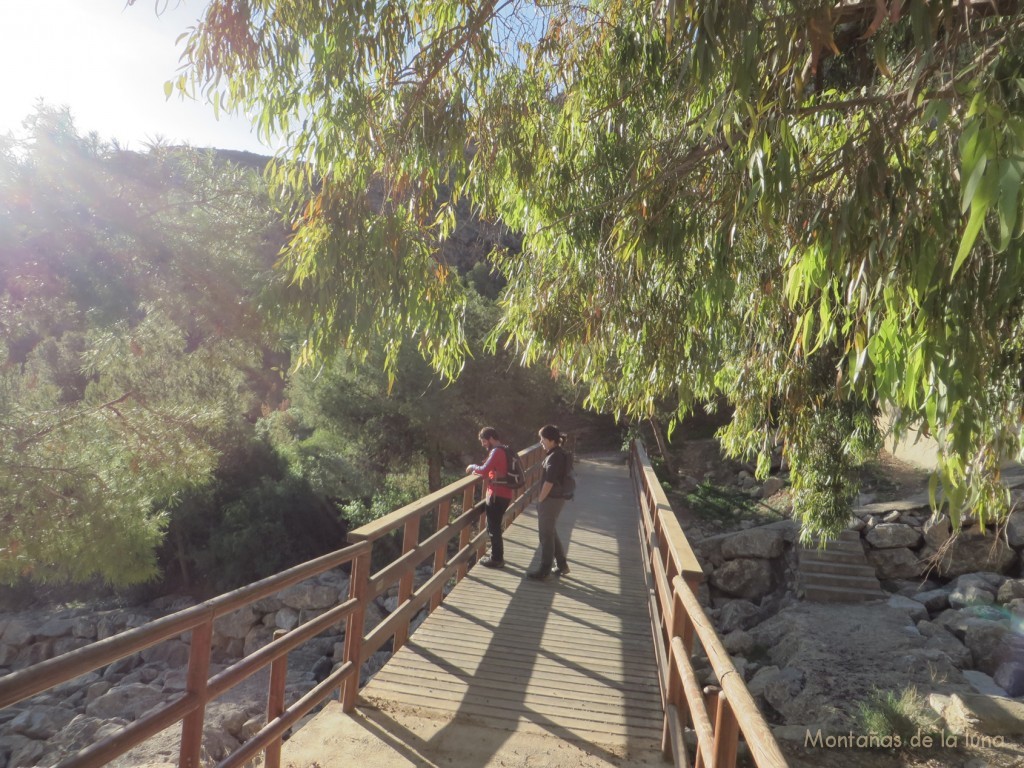 Puente en La Pilarica de Callosa