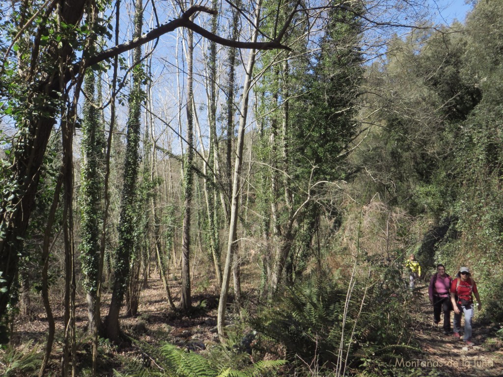 Camino junto a la Riera de Montnegre