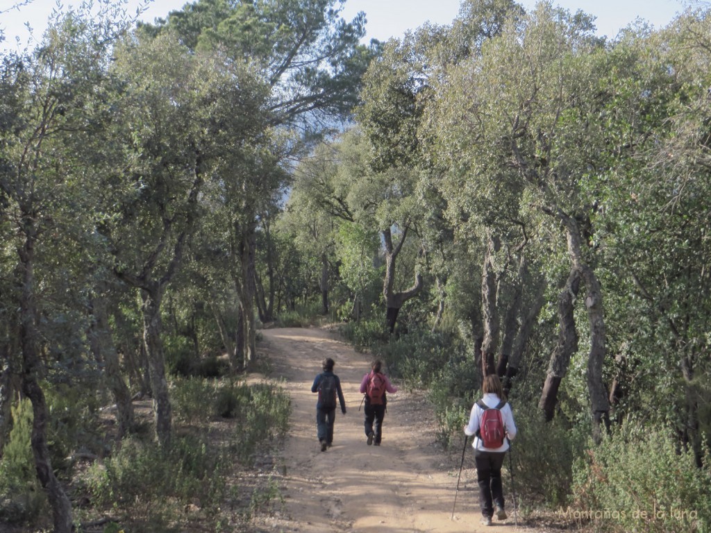 Camino por la Carena de Les Gatelledes