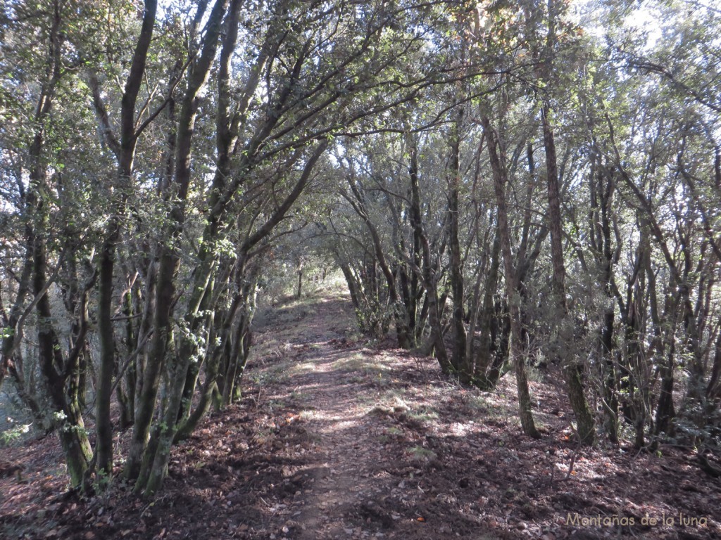 Senda en la cima de la Sierra de Marboleny