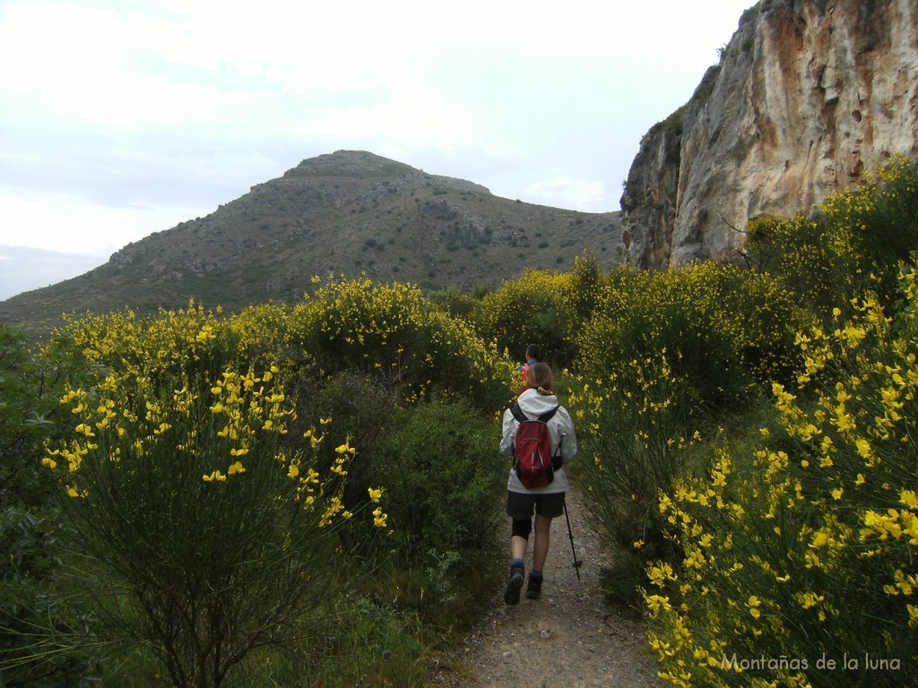 Camino del Coll de Santa Caterina