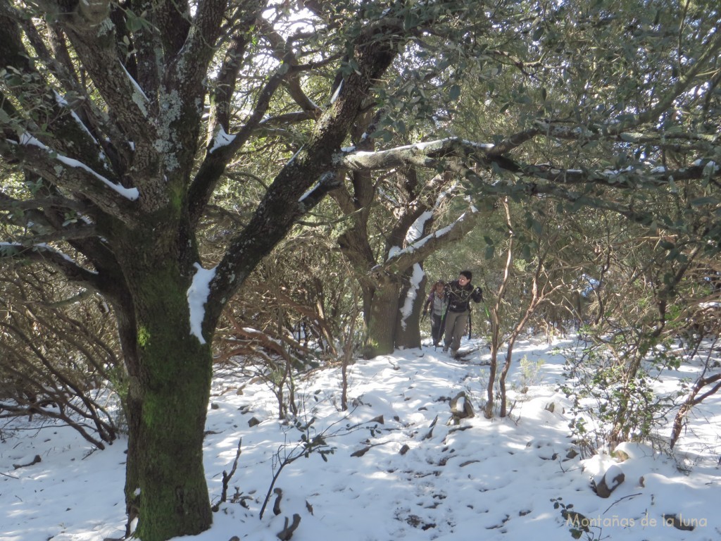 Senda hacia el Coll del Roure Gros