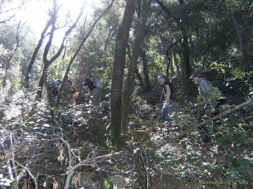 Camino de la cumbre del Turó de Marfull