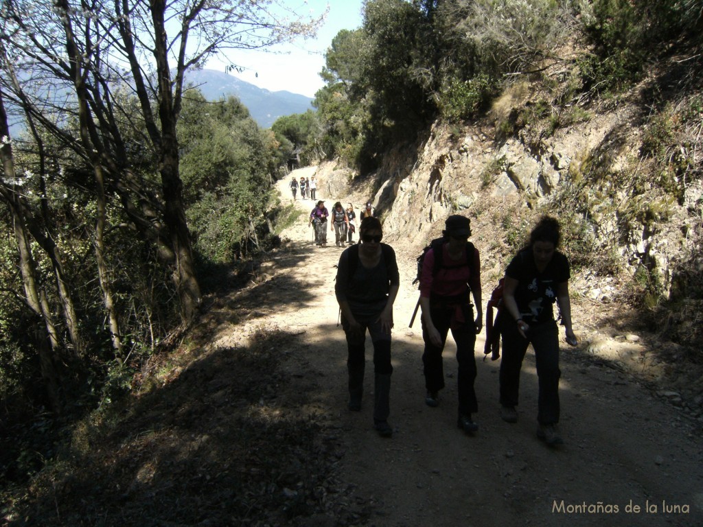 Camino de Vila-Rasa