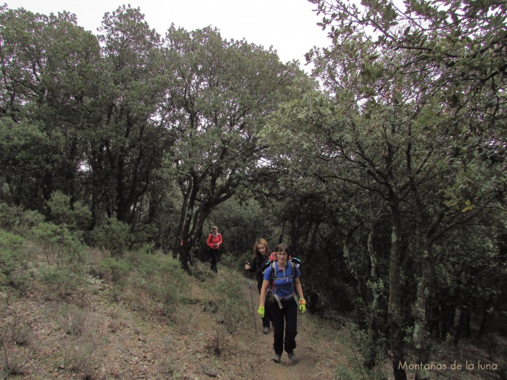 Subida a Roca Centella por el Serrat Llarg, delante Nuri