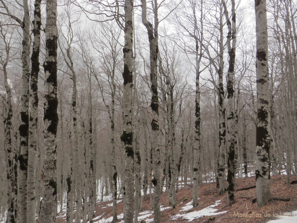 Valle de Ordesa