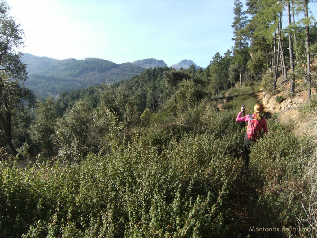 Camino de Camp d'en Pla. Al fondo Les Agudes