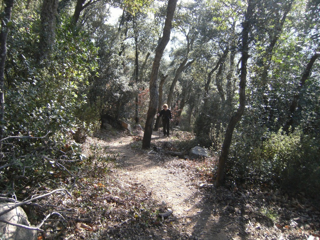 Subiendo al Turó de Montfort