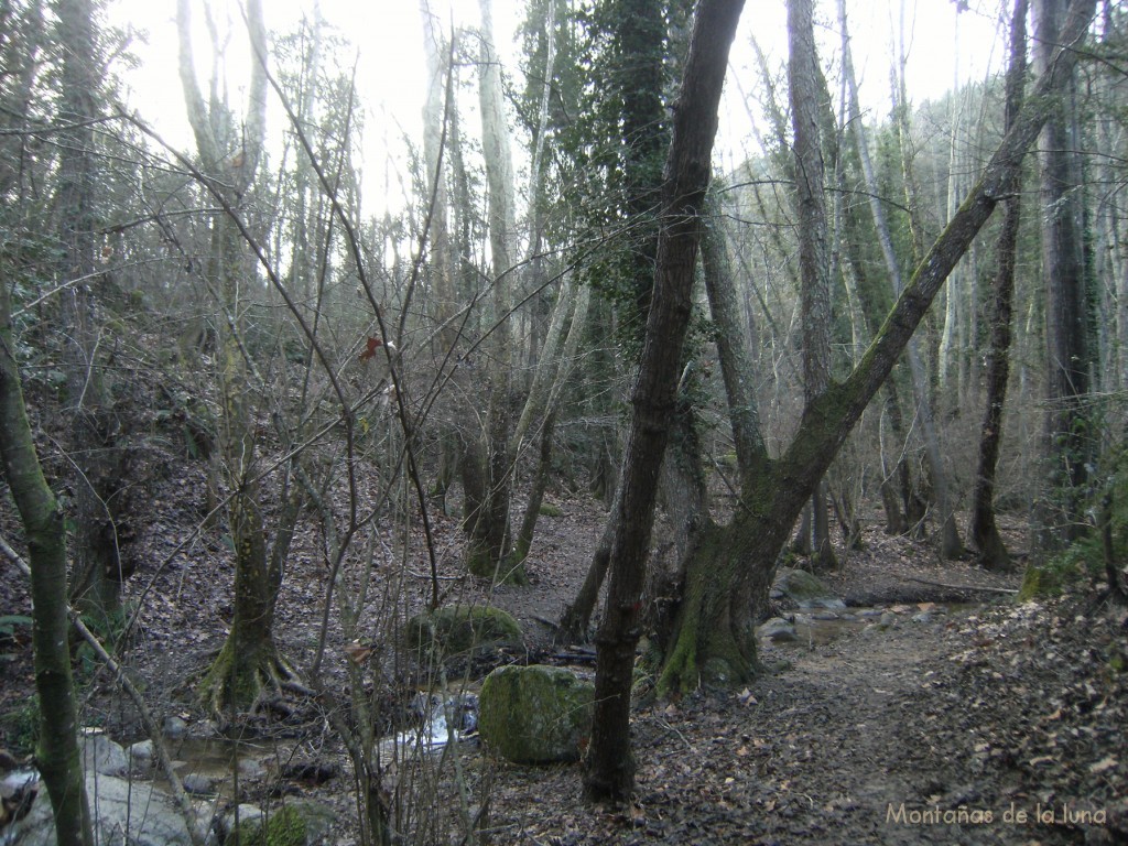 Riera del Pont Cremat