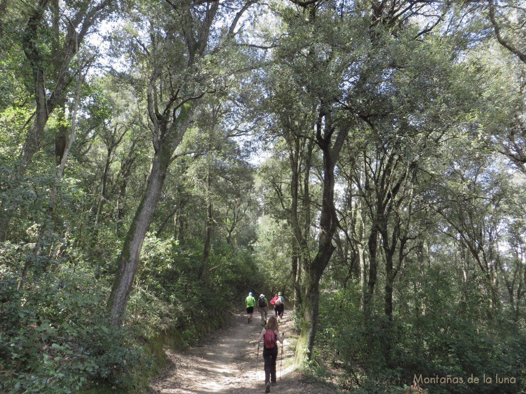 Camino junto al Torrent del Sot del Fangar