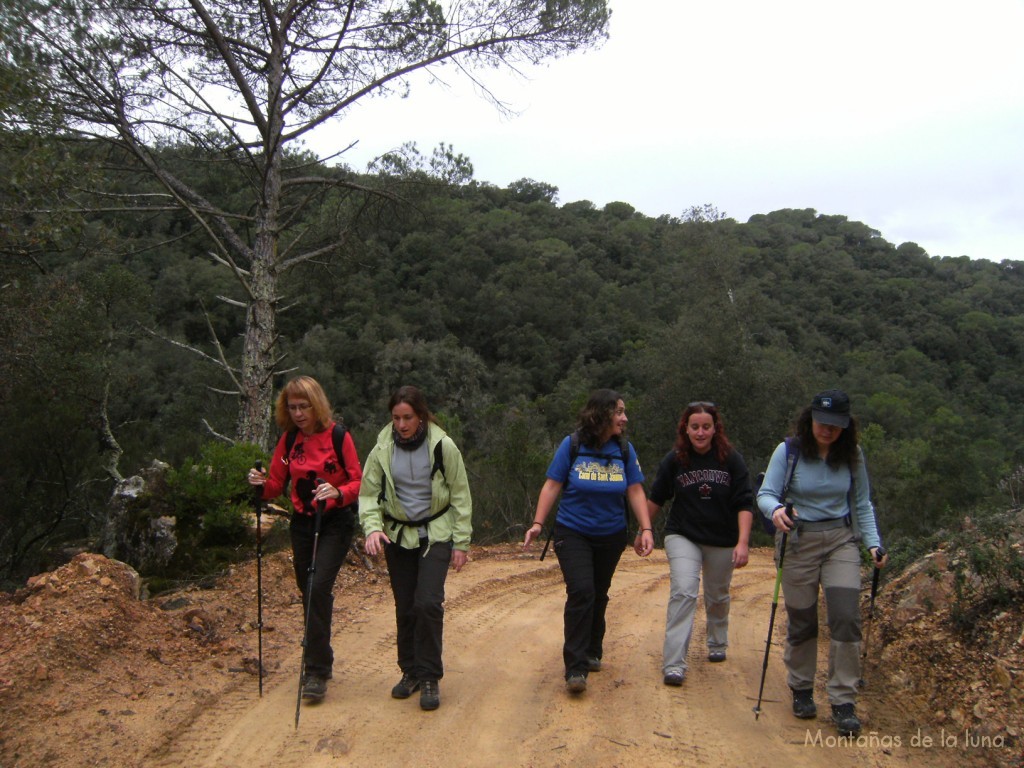 Camino de Ca l'Agutzil a Can Masó por el valle del Torrent de Can Masó