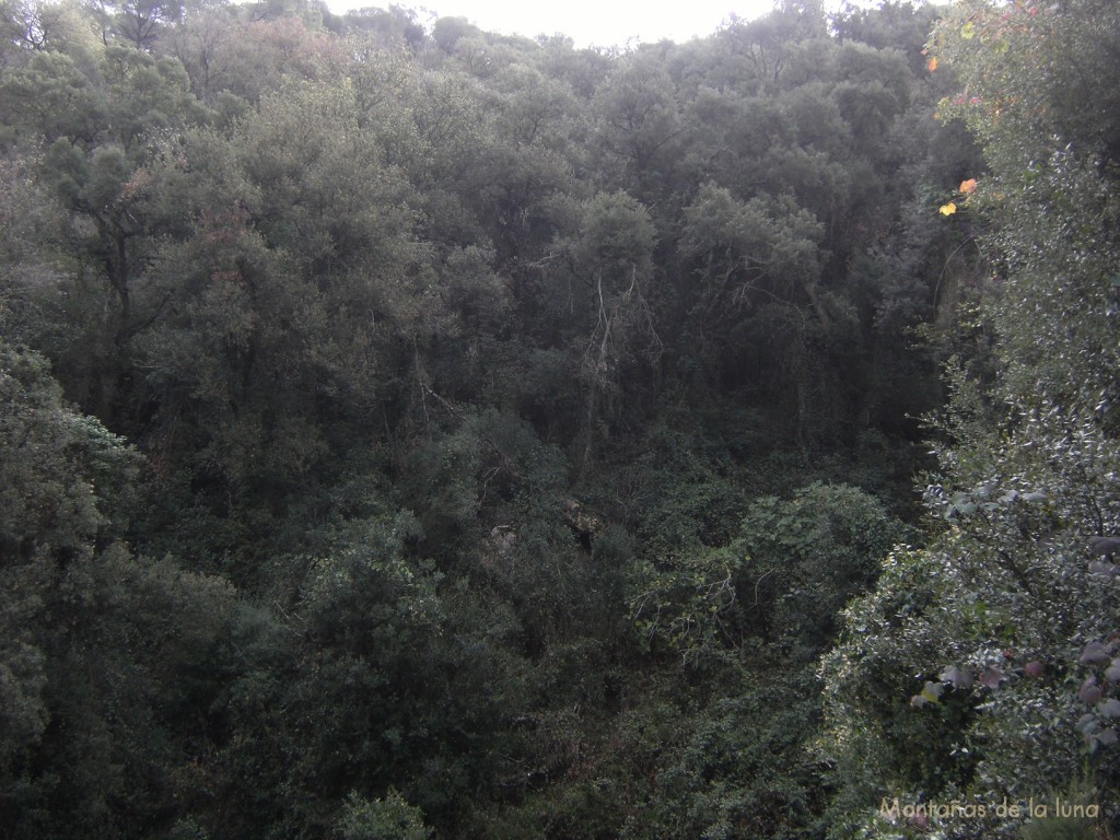 Entre la vegetación se intuye la Mina de l'Or