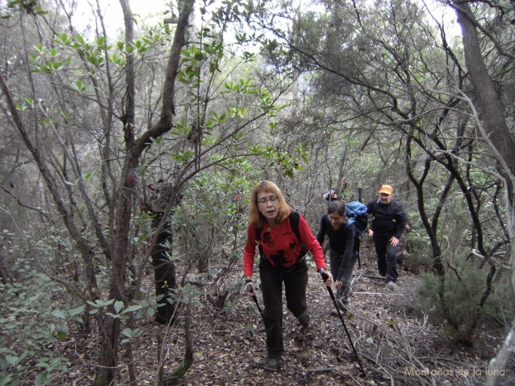 Subiendo al Montgròs. Delante Anna.