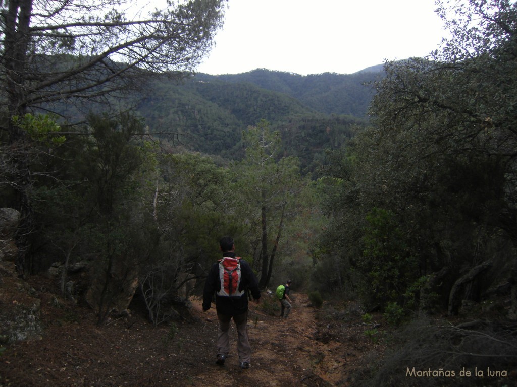 Camí de La Serra