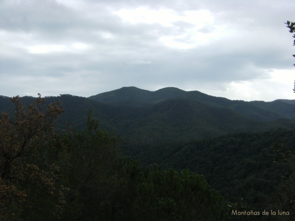 Sierra del Montnegre