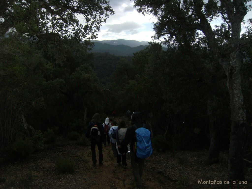 Bajando al camino de Ca l'Agutzil