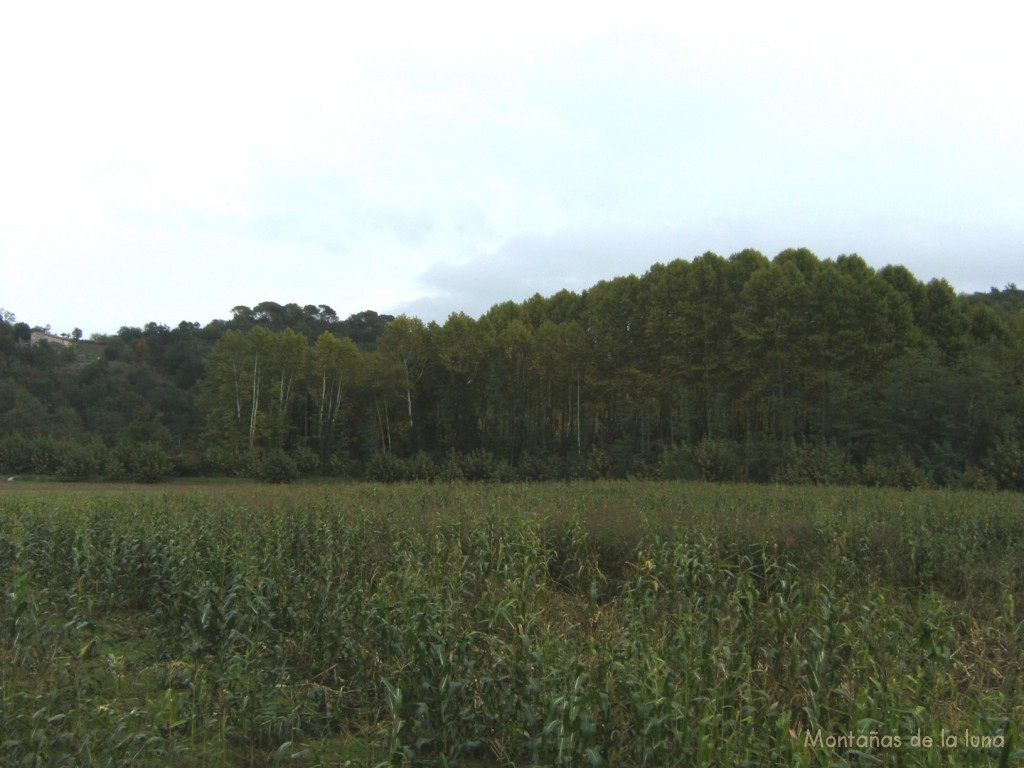 Campos entre Ca l'Oller y Can Mainou