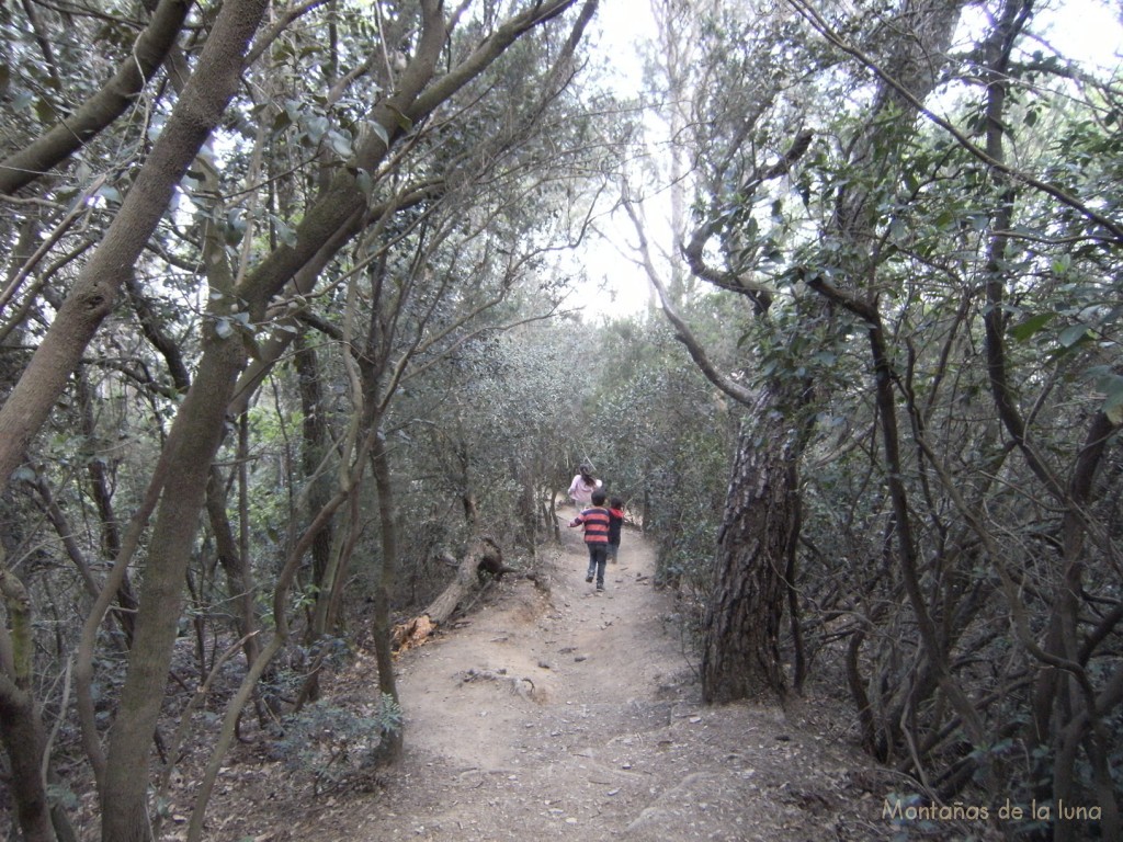 Recorrido entre el Turó de La Magarola y el de Valldaura