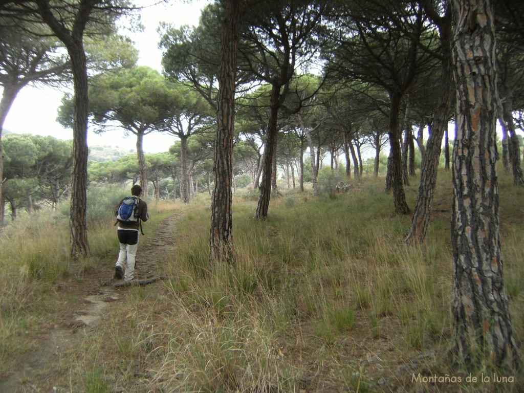 Comenzamos la subida al Turó d'en Galcerán