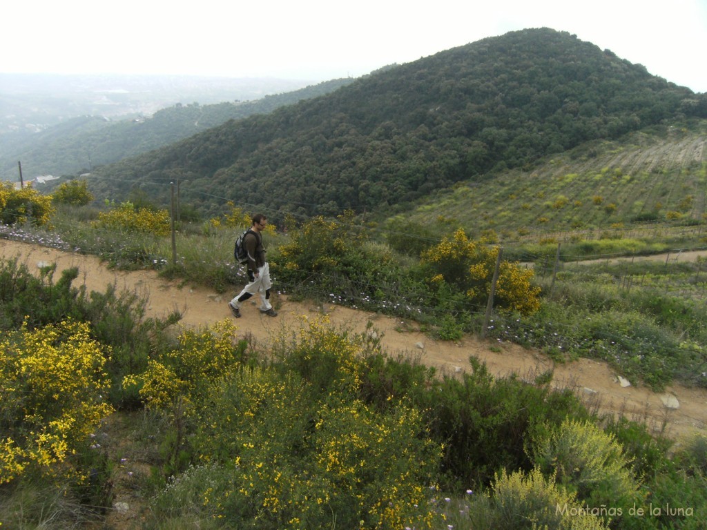 Bajando del Turó d'en Galcerán