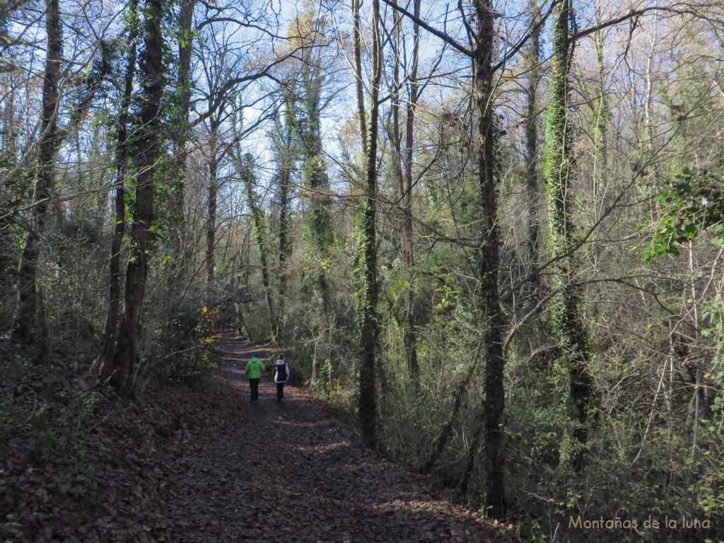 Camino de Can Serra