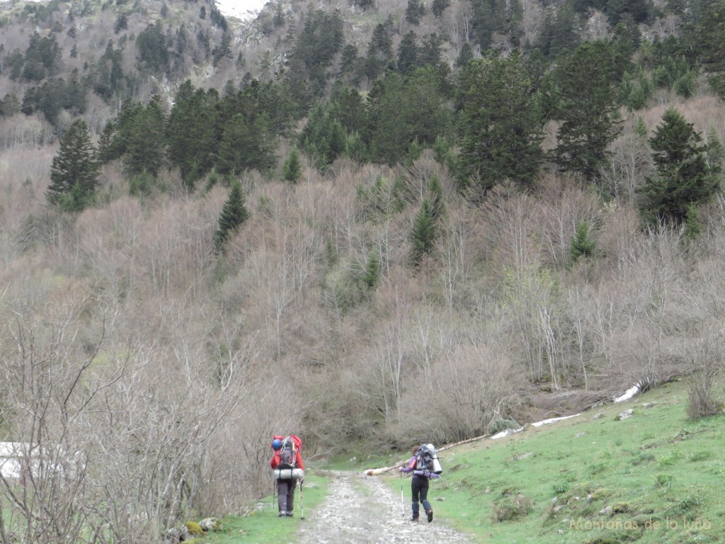 Valle del Nère arriba