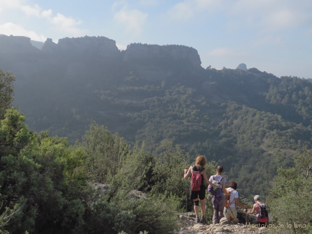 Camino del Hospital de La Sang