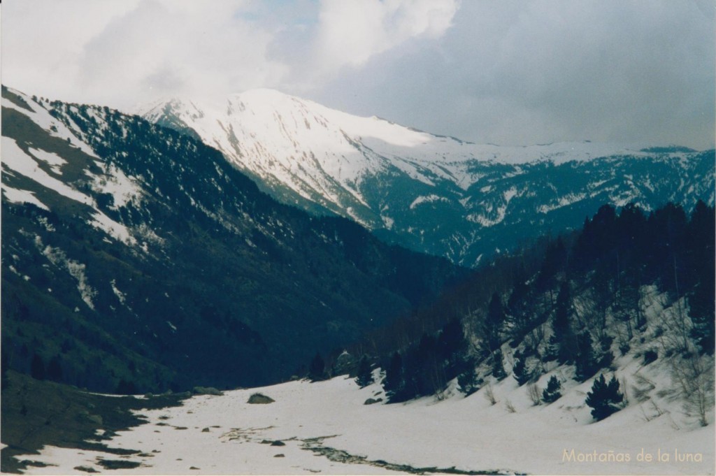 Llegando a la Cabaña de La Coma (se vislumbra su tejado entre los pinos)